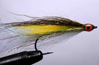 Pike tricolor